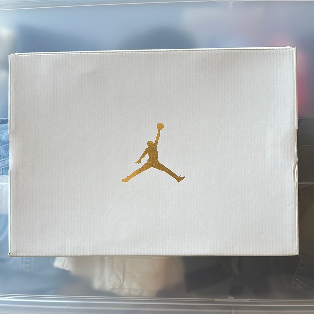 WORN ONCE Purple Velvet Air Jordan’s
